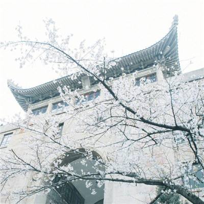 我的贴身校花3d手游变态版下载