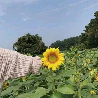 果盘修仙世界游戏下载