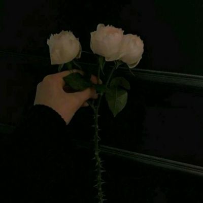 大话蜀山星耀版下载
